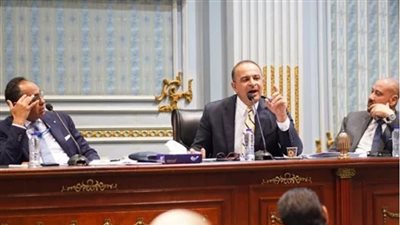 وزارة التخطيط لـ النواب: مؤشرات الصحة والتعليم تحسنت في مصر