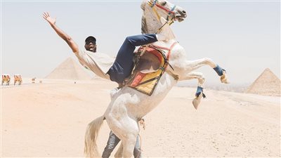 الأسطورة دوين ويد يستمتع بإجازته في مصر ويزور عددًا من المعالم السياحية