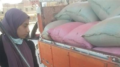 انتظام أعمال توريد محصول القمح في شون وصوامع المنيا