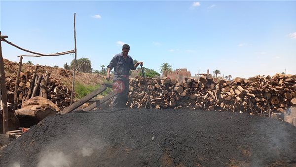 صناعة الفحم بأسيوط-