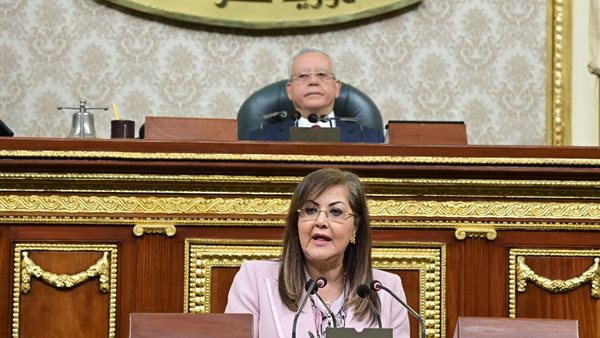 وزيرة التخطيط