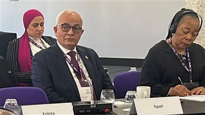 حجازي: مصر تلعب دورا مهما في دعم استراتيجيات التعليم بالدول الإفريقية 