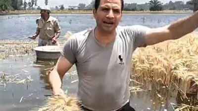 مزارعو المنوفية المتضررين من ارتفاع منسوب النيل: نطالب بإلغاء الإيجار| بث مباشر 
