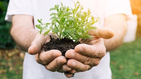 اليوم الدولي لصحة