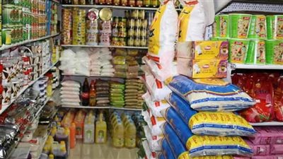 أبرزها تسربه لغير المستحقين.. الحوار الوطني يوضح نقاط القوة والضعف بشأن قضية الدعم العيني