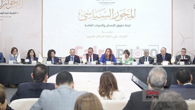 مقرر حقوق الإنسان بالحوار الوطني: مصر تعرف مكافحة التمييز منذ قرن.. واستراتيجية 2030 نصت على المساواة