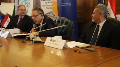 رئيس اتحاد غرق البحر المتوسط: علينا التوسع في الأراضي الزراعية لضمان الأمن الغذائي