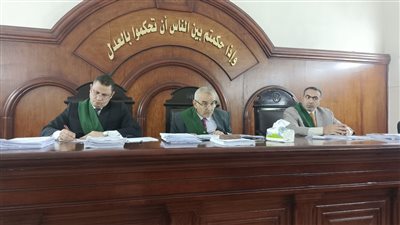 جنايات دمنهور تقضي بالسجن المؤبد لتاجر ملابس قتل شقيق زوجته بالبحيرة