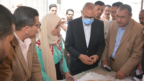 توريد محصول القمح