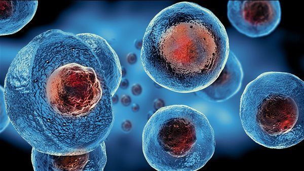 الخلايا الجذعية