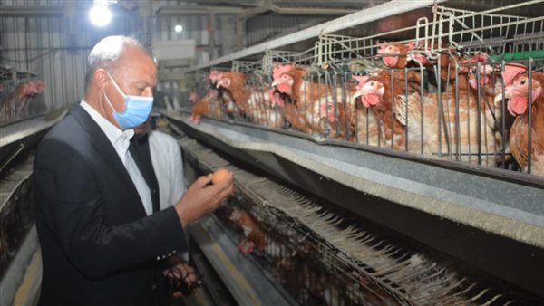 محافظ القليوبية 