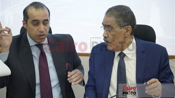 ضياء رشوان - المنسق