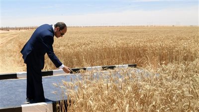 الرئيس السيسي يشهد افتتاح موسم القمح في شرق العوينات | صور 