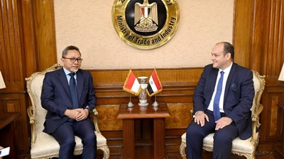 وزير الصناعة: 1.5 مليار دولار قيمة التبادل التجاري بين مصر وإندونيسيا في 2022
