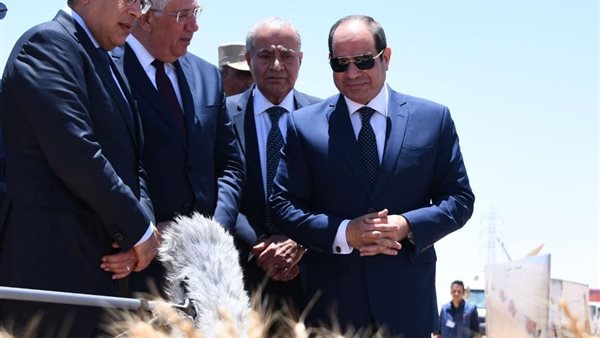 الرئيس السيسي يتفقد