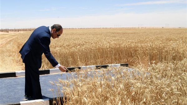 الرئيس السيسي يتفقد