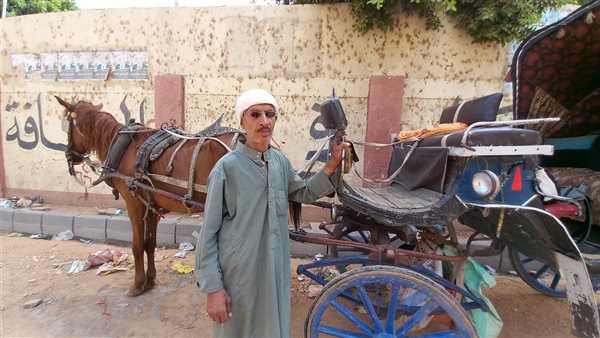 عم سامي سائق حنطور