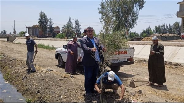 زراعة شجر مثمر 