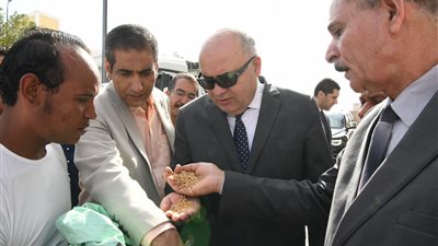 محافظ قنا: استلام 82 ألف طن قمح بصوامع وشون المحافظة 