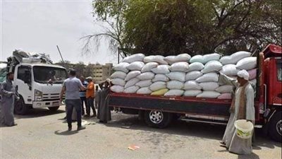 تجديد حبس موظف اختلس قمحا بـ 3 ملايين جنيه بسوهاج