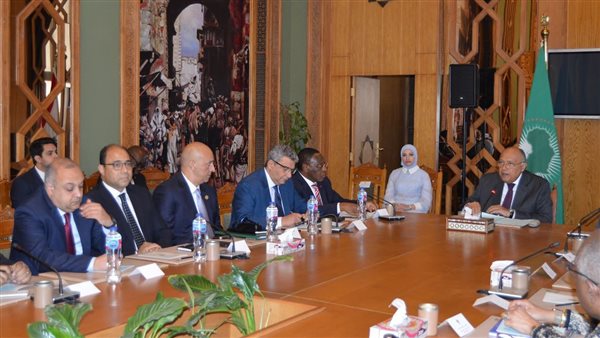 وزير الخارجية يلتقي