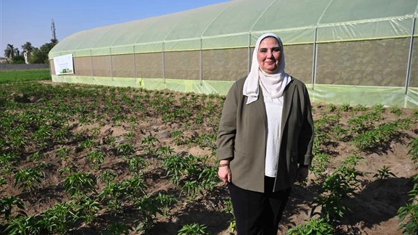 وزيرة التضامن الاجتماعي