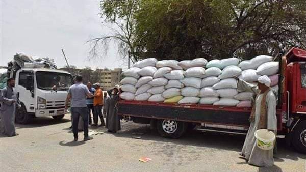 توريد القمح بسوهاج