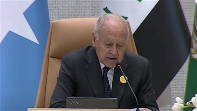 أبو الغيط: منتدى التعاون العربي الصيني فكرة جيدة ربطت الصين بالدول العربية