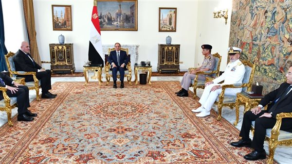 جانب من اجتماع السيسي