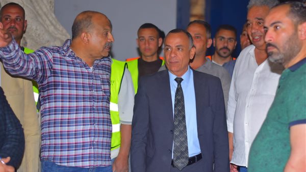 مصطفى وزيري