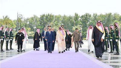 السيسي يتناول وحدة الصف العربي والأزمة السودانية خلال كلمته بالقمة العربية في جدة