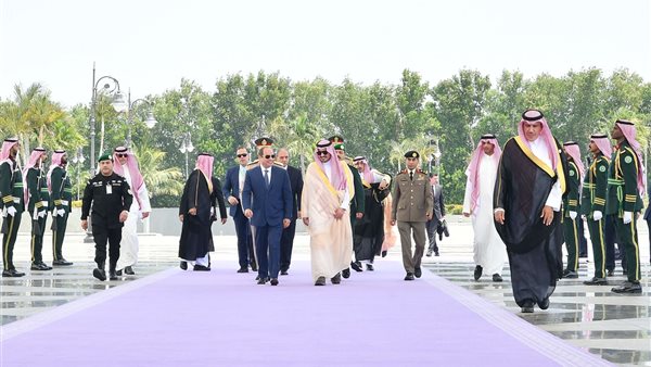 الرئيس السيسي في