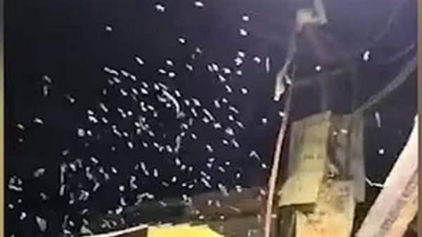 ديدان تسقط من السماء