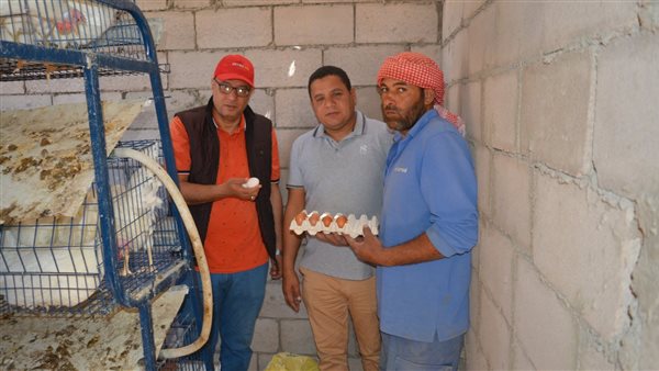 مزارعو جنوب سيناء