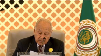 أبوالغيط: الدفاع عن حل الدولتين والقضية الفلسطينية هو دفاع عن استقرار المنطقة والأجيال القادمة 