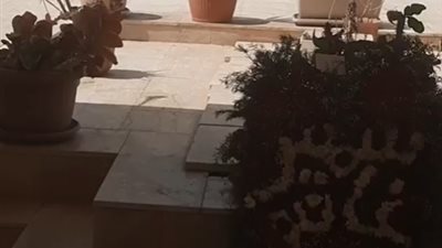 باقة ورود ملونة.. الفنان محمد ثروت يحيي الذكرى الثانية لوفاة سمير غانم| بث مباشر 