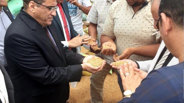 توريد القمح 