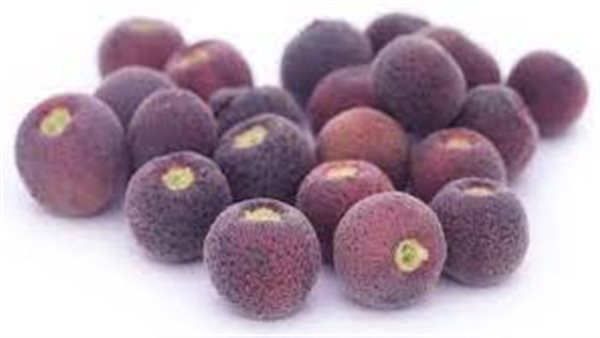 توت الفالسا 