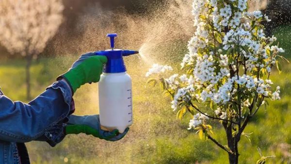 صورة تعبيرية 