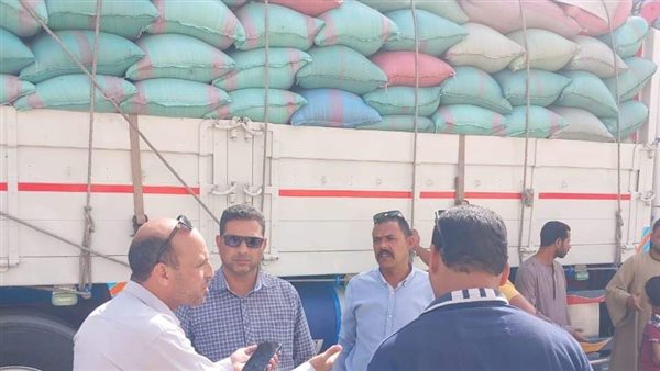 حملات تفتيشية بالمنيا