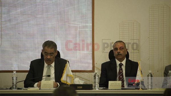 ضياء رشوان المنسق