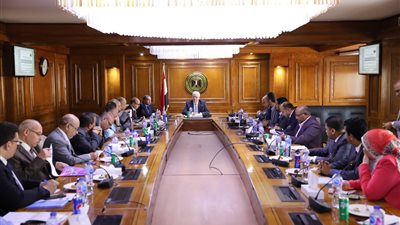 الأعلى للجامعات يكشف تفاصيل إعادة النظر في تصريح مزاولة مهنة الطب لغير المصريين