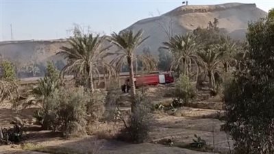 الحماية المدنية بالجيزة تسيطر على حريق في مخزن كاوتش ومزرعة أشجار بجوار الدائري| بث مباشر 