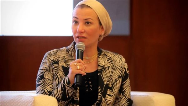 ياسمين فؤاد وزيرة