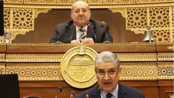 وزير الكهرباء