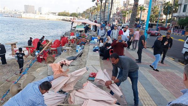 إزالة التعديات على