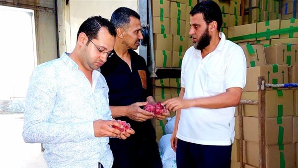 حملة تموينية 