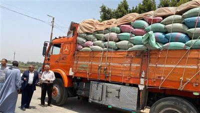 ضبط 95 طنًا من القمح بهدف الاحتكار بمركزين في المنيا