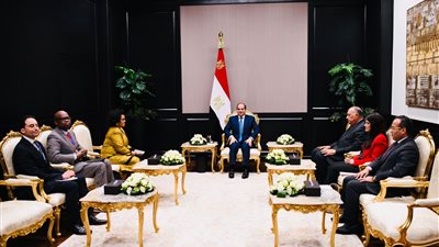 السيسي يلتقي المديرة التنفيذية لوكالة الاتحاد الإفريقي للتنمية 