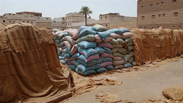 توريد محصول القمح